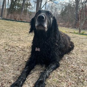 Meet your Posher, Clare